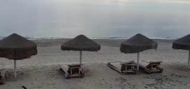 Montauro - delfini saltano a pochi metri dal bagnasciuga