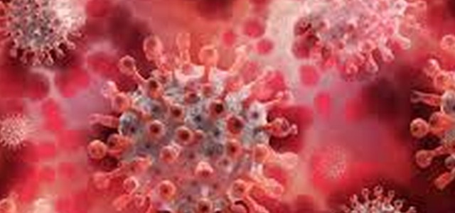 Coronavirus, + 179 i positivi di oggi