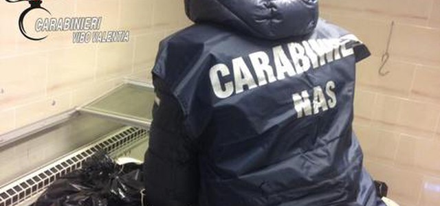 Studenti intossicati, sospesa attività di ristorazione