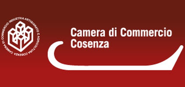“Le Camere di Commercio con le imprese nel futuro digitale"