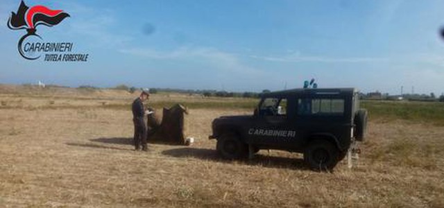 A Caccia con richiami vietati, due denunciati
