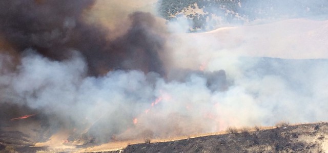 Incendia sterpaglie, provoca vasto incendio e scappa: arrestato