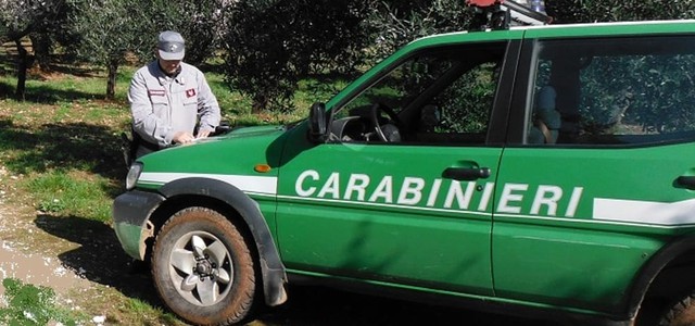 Realizza opere su terreno a rischio idrogeologico, denunciato