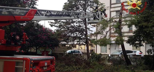 Tromba d'aria a Gioia Tauro, container ribaltati