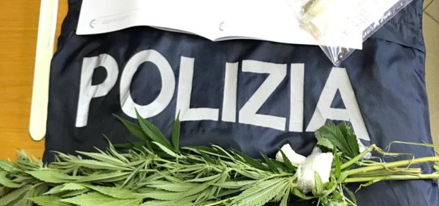 Coltivava canapa indiana nell’orto, denunciato ristoratore