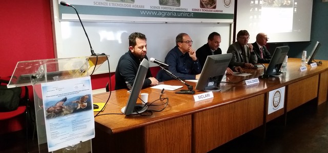 Aquila reale e Gufo reale: incoraggianti numeri in Aspromonte