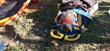 Cade da albero nel catanzarese, ferito recuperato dai vigili del fuoco