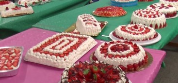 Curinga - La Festa della Fragola 2017  tra solidarietà, cultura, gusto e divertimento.