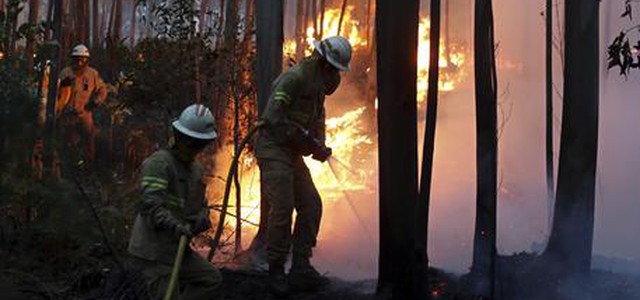 Portogallo: incendio boschivo, almeno 43 morti