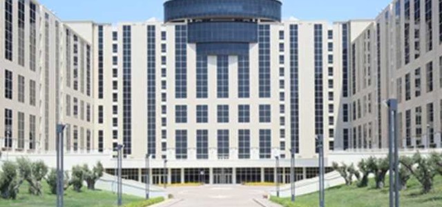 Confapi Calabria chiede ad Oliverio una proroga sul termine di taglio e esbosco, ancora nessuna risposta