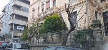 Legambiente: necessario dotarsi di un vero “Piano per il verde pubblico”