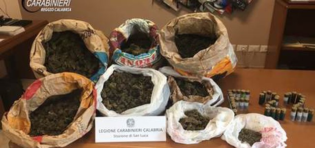 Trovati 9 kg di marijuana nella Locride