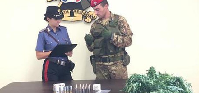 Piantagione droga e munizioni, un arresto