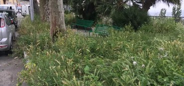 Catanzaro, Veraldi: "Degrado nell’area d’ingresso nel quartiere Gagliano"