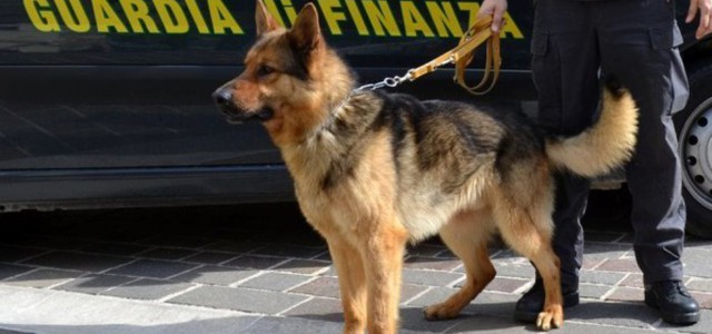 Viaggia su bus con 2 kg di droga, giovane arrestato