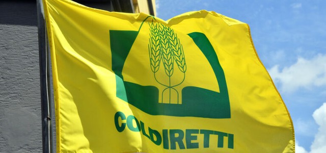 Coldiretti Calabria: calo dell’occupazione in agricoltura del 2,2%. Ma occorre ripartire