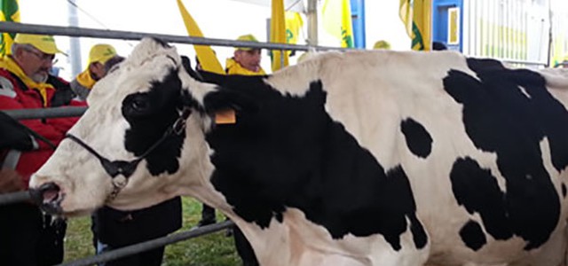 Coldiretti Calabria: aumenta a 48,50cent/litro il prezzo minimo del latte alla stalla per i produttori calabresi conferenti alla cooperativa Assolac