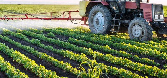 Pubblicate le graduatorie del PSR Calabria 2014/2020 per investimenti nelle aziende agricole