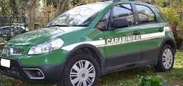 Sequestrate nel mercatino comunale shoppers di plastica non conformi