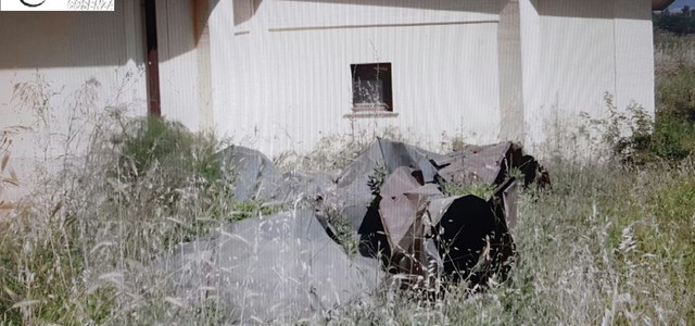 Furto di rame da tetto teatro comunale e di oltre 400 kg di limoni: 4 arresti
