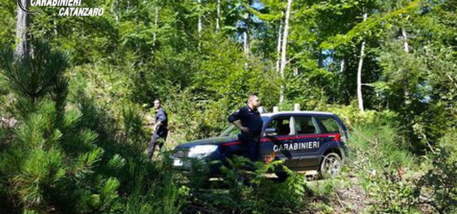 Vanno a funghi e si perdono, trovati dai carabinieri