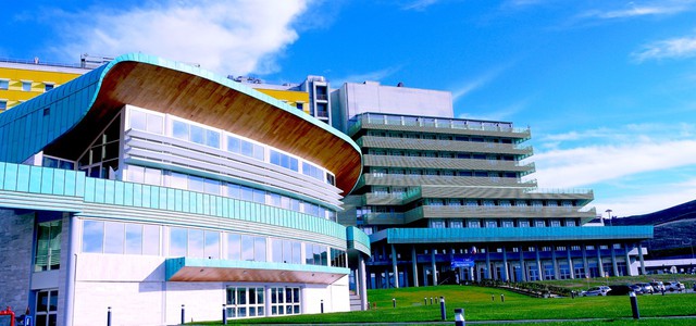 Università Magna Graecia, Scalzo: "Riattivare la facoltà di Veterinaria"