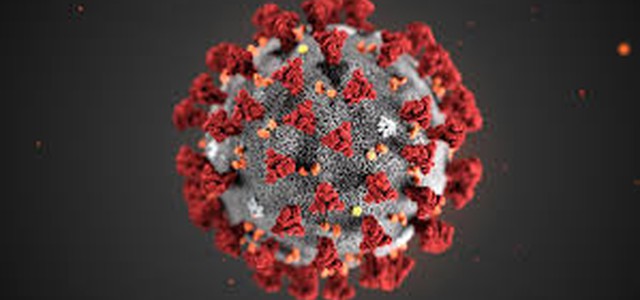 Coronavirus, il punto della Protezione civile.