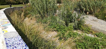 CalabriaOltre: ripulire il Torrente Castace