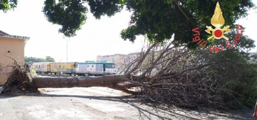 Forte vento e incendi, vvf super impegnati a Catanzaro (FOTO)
