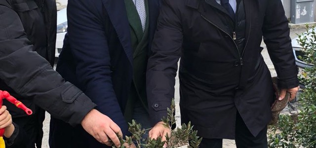 Più verde in città con "L' albero lo pianto io" di VitaAmbiente
