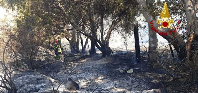 Rogo a Sellia Marina, preso presunto piromane