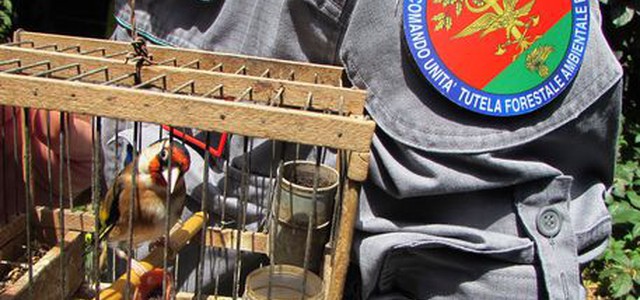Caccia con modalità illegali, tre denunce