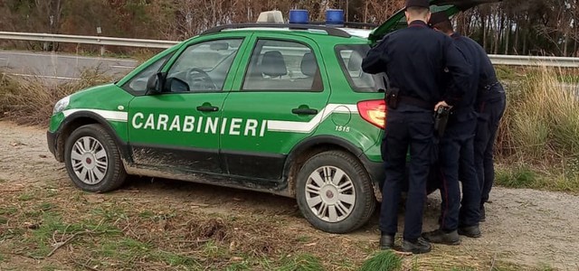 Abbatte abusivamente tre pioppi nel greto del fiume Nicà, denunciato per furto e deturpamento di bellezze naturali