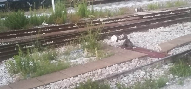 FERROVIE DELLA CALABRIA , ANGOTTI E LOSTUMBO: "L'AZIENDA SBILANCIATA SU COSENZA E IL COSENTINO"