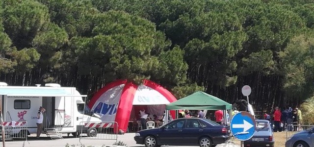 Anche l'Avis all'iniziativa “Proteggiamo la Pineta di Giovino”