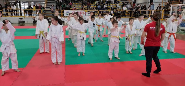 Trofeo judo città di Catanzaro - il judo targato csen approda in calabria
