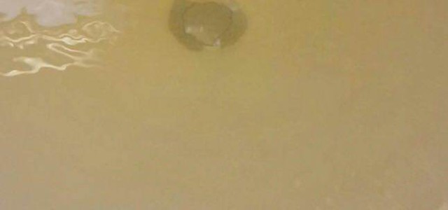 Codacons: a Catanzaro dai rubinetti acqua marrone, associazione chiede i danni