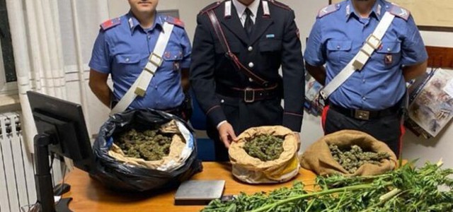 Oltre 5 kg di droga nel loro terreno, arrestati padre e figlio nel Catanzarese