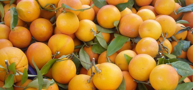 La frutticoltura della pianura di Sibari: "Economia, Qualità e Sicurezza alimentare"
