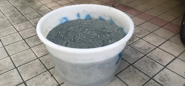 Sequestrati 200 kg di novellame di sarda