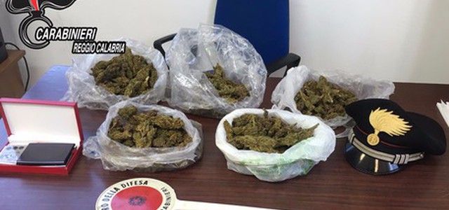 Nascondeva in casa oltre mezzo chilo di marijuana, arrestato