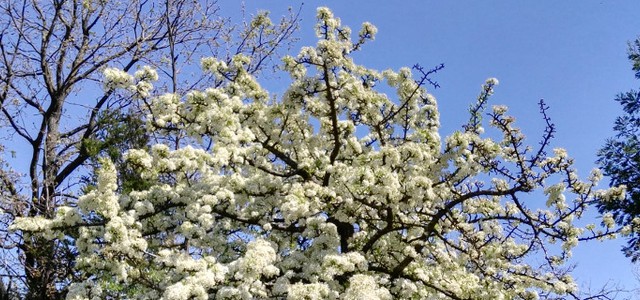 Il vero significato della Pasqua