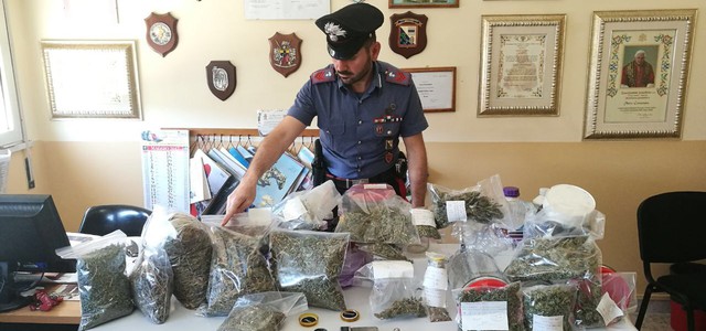 Coltivano e spacciano cannabis, arrestati padre e figlio