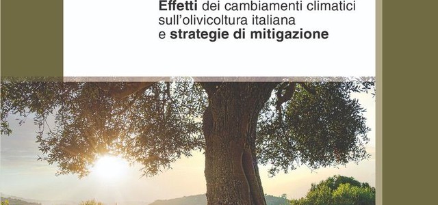 A Lamezia Terme la presentazione di “Olivo & Clima”, il libro di Thomas Vatrano