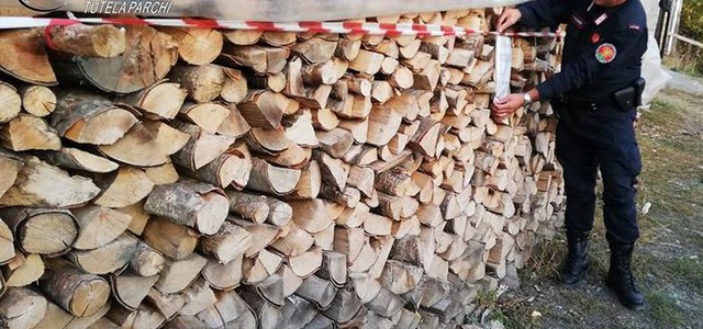 Taglio alberi in Parco Pollino, tre denunce