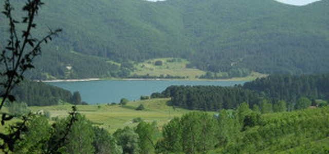 Coronavirus: Coldiretti bene via libera alle filiere forestali la montagna può iniziare a lavorare. La testimonianza di un imprenditore del settore.