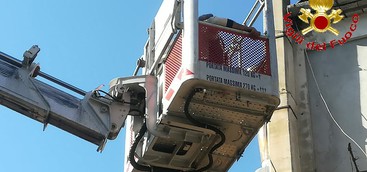 Bloccato sul tetto per il panico, soccorso dai VVF