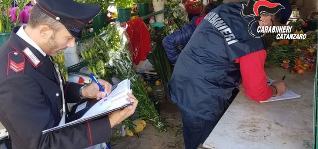 Furto di fiori al cimitero, denunciato 45enne catanzarese