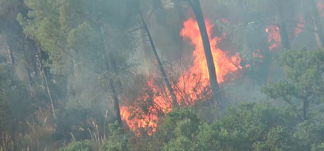 Incendi, Giunta regionale chiede lo stato di calamità naturale