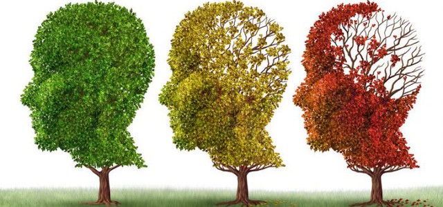 Alzheimer, ricercatori italiani scoprono molecola che blocca la malattia